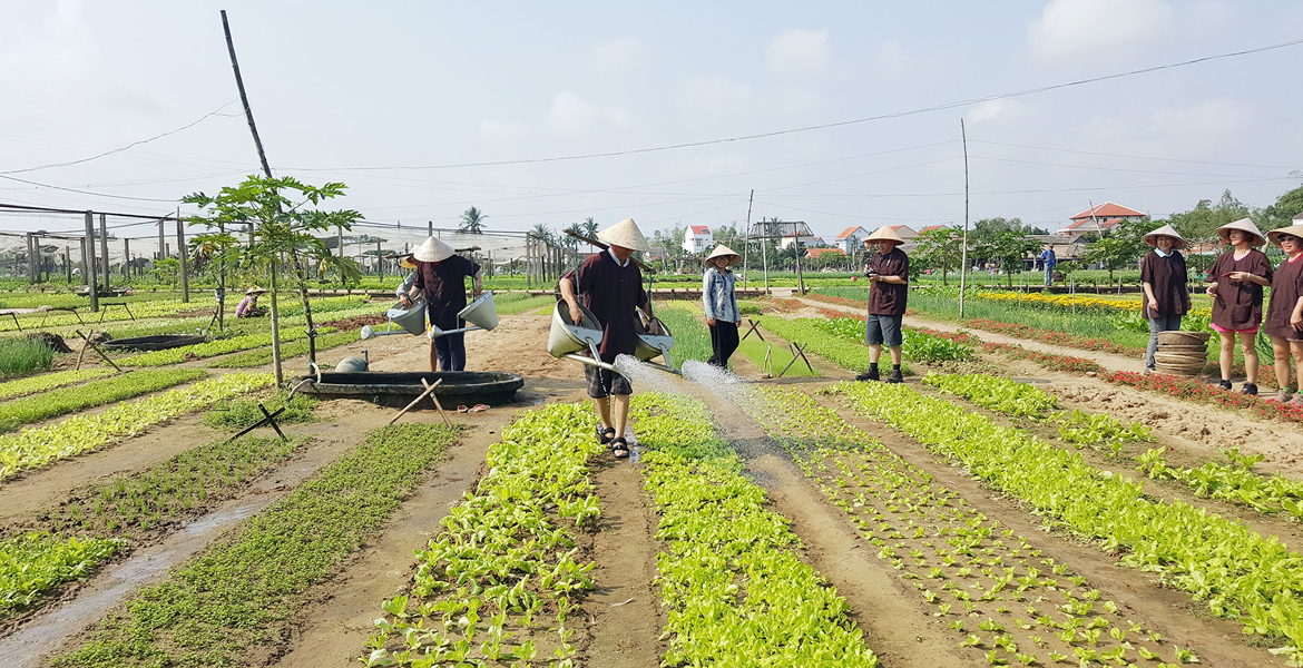 Hoi An Rural Villages Half Day Cycling Tour